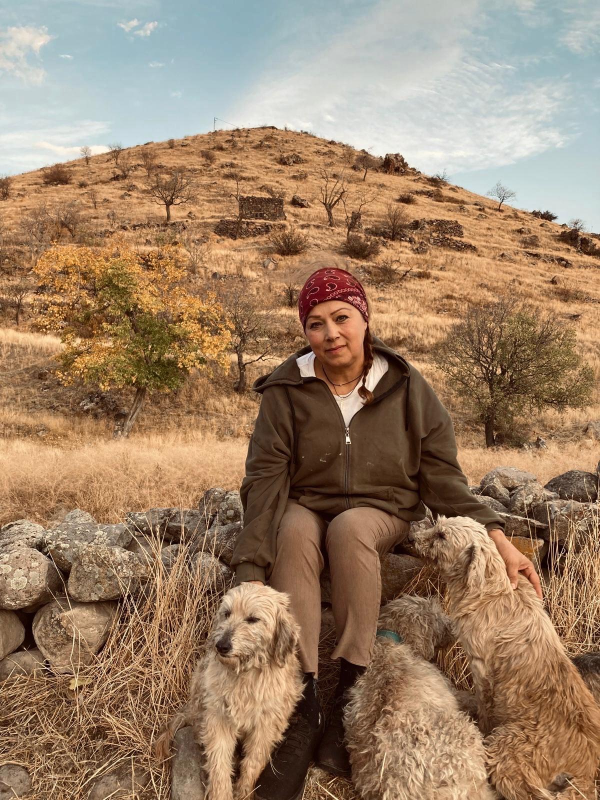 Gönüllülerimiz hayvanlarla birlikte